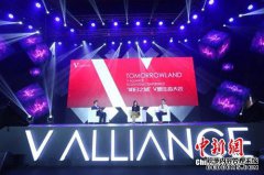 ����ʽ����������Χǽ ��������V�˳�����̬Ȧ