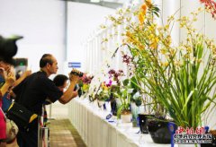 ���Ұ��������Դ���ƻ�����ɽ���������ɽ�۽���