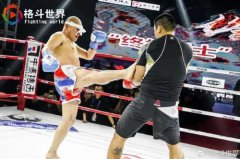 ������KO��Ұ��һ���������ͽ��ı���־�